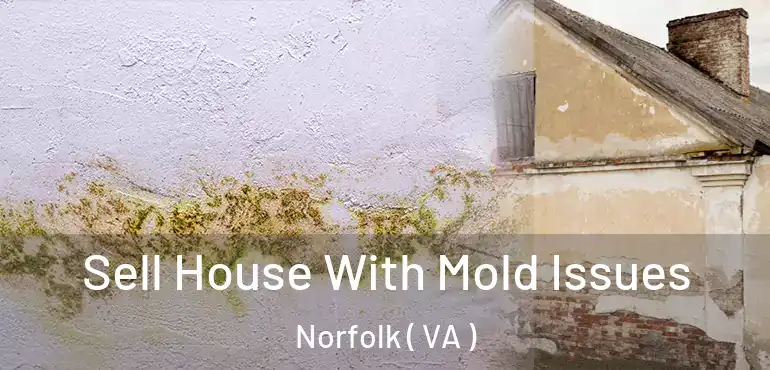  Sell House With Mold Issues Norfolk ( VA )